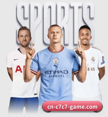 五大服务分区,信息按项目分类(www.c7c7.app)